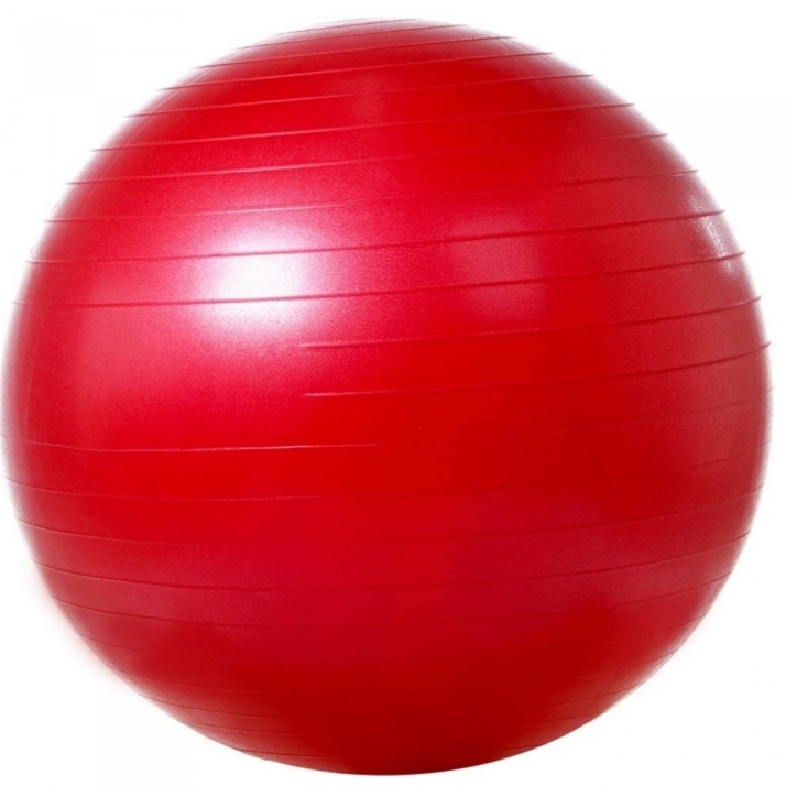 Мяч массажный VEGA-501/55